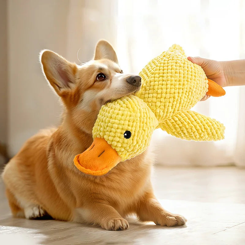 Cat & Dog Chew Squeak Toy – Interactive Plush Doll for Aggressive Chewers